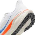 Мужские кроссовки Nike Air Zoom Pegasus 41 - HF0013-900