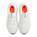 Мужские кроссовки Nike Air Zoom Pegasus 41 - HF4300-100