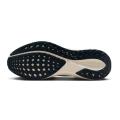 Мужские кроссовки Nike Air Zoom Pegasus 41 - HF4300-100