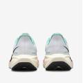 Мужские кроссовки Nike Air Zoom Pegasus 41 - HM3703-161