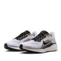 Мужские кроссовки Nike Air Zoom Pegasus 41 - HQ3220-100