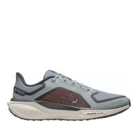 Мужские кроссовки Nike Air Zoom Pegasus 41 GTX - FQ1356-003