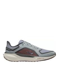 Мужские кроссовки Nike Air Zoom Pegasus 41 GTX - FQ1356-003