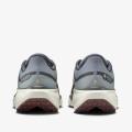 Мужские кроссовки Nike Air Zoom Pegasus 41 GTX - FQ1356-003