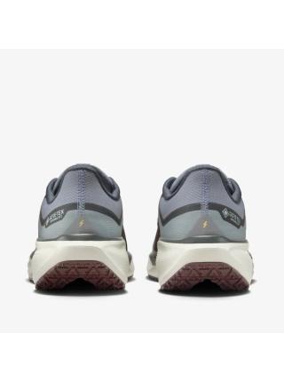 Мужские кроссовки Nike Air Zoom Pegasus 41 GTX - FQ1356-003