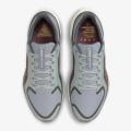 Мужские кроссовки Nike Air Zoom Pegasus 41 GTX - FQ1356-003