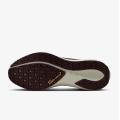 Мужские кроссовки Nike Air Zoom Pegasus 41 GTX - FQ1356-003
