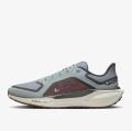 Мужские кроссовки Nike Air Zoom Pegasus 41 GTX - FQ1356-003