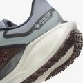 Мужские кроссовки Nike Air Zoom Pegasus 41 GTX - FQ1356-003