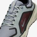 Мужские кроссовки Nike Air Zoom Pegasus 41 GTX - FQ1356-003