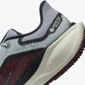 Мужские кроссовки Nike Air Zoom Pegasus 41 GTX - FQ1356-003