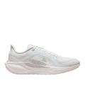 Мужские кроссовки Nike Air Zoom Pegasus 41 GTX - FQ1356-101