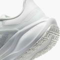 Мужские кроссовки Nike Air Zoom Pegasus 41 GTX - FQ1356-101