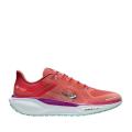 Мужские кроссовки Nike Air Zoom Pegasus 41 GTX - HM8872-600