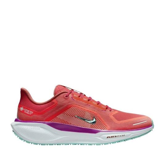 Мужские кроссовки Nike Air Zoom Pegasus 41 GTX - HM8872-600