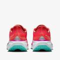 Мужские кроссовки Nike Air Zoom Pegasus 41 GTX - HM8872-600