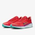 Мужские кроссовки Nike Air Zoom Pegasus 41 GTX - HM8872-600