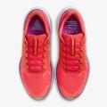 Мужские кроссовки Nike Air Zoom Pegasus 41 GTX - HM8872-600