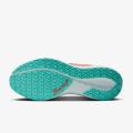 Мужские кроссовки Nike Air Zoom Pegasus 41 GTX - HM8872-600