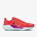 Мужские кроссовки Nike Air Zoom Pegasus 41 GTX - HM8872-600