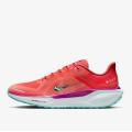 Мужские кроссовки Nike Air Zoom Pegasus 41 GTX - HM8872-600