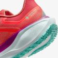 Мужские кроссовки Nike Air Zoom Pegasus 41 GTX - HM8872-600