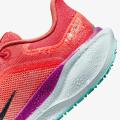 Мужские кроссовки Nike Air Zoom Pegasus 41 GTX - HM8872-600