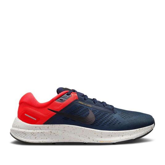 Мужские кроссовки Nike Air Zoom Structure 24 - DA8535-403