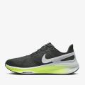 Мужские кроссовки Nike Air Zoom Structure 25 - DJ7883-005