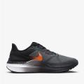 Мужские кроссовки Nike Air Zoom Structure 25 - FQ8724-084
