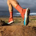 Мужские кроссовки Nike Air Zoom Terra Kiger 8 - DH0649-600