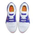 Мужские кроссовки Nike Air Zoom Vomero 16 - DA7245-008