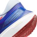 Мужские кроссовки Nike Air Zoom Vomero 16 - DA7245-008