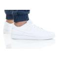 Мужские кроссовки Nike Court Royale 2 Low - CQ9246-101