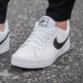 Мужские кроссовки Nike Court Royale AC - BQ4222-103