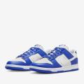 Мужские кроссовки Nike Dunk Low - FN3416-001