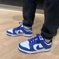 Мужские кроссовки Nike Dunk Low Retro - DV0833-103