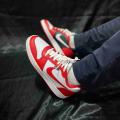 Мужские кроссовки Nike Ebernon Low Prem - AQ1774-101