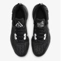 Мужские кроссовки Nike Giannis Immortality 2 - DM0825-002