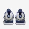 Мужские кроссовки Nike Jordan Spizike Low - FQ1759-140