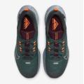 Мужские кроссовки Nike Juniper Trail 2 GTX - FB2067-300