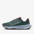 Мужские кроссовки Nike Juniper Trail 2 GTX - FB2067-300