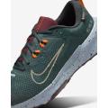 Мужские кроссовки Nike Juniper Trail 2 GTX - FB2067-300