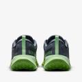 Мужские кроссовки Nike Juniper Trail 2 GTX - FB2067-403