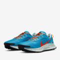 Мужские кроссовки Nike Pegasus Trail 3 - DA8697-400