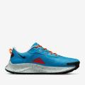 Мужские кроссовки Nike Pegasus Trail 3 - DA8697-400