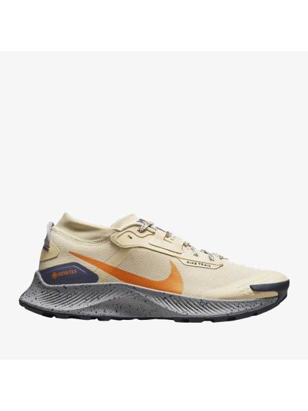 Мужские кроссовки Nike Pegasus Trail 3 GTX - DC8793-200