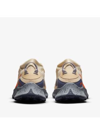 Мужские кроссовки Nike Pegasus Trail 3 GTX - DC8793-200