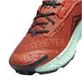 Мужские кроссовки Nike Pegasus Trail 3 GTX - DC8793-800