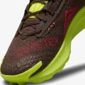Мужские кроссовки Nike Pegasus Trail 3 GTX - DO6728-200